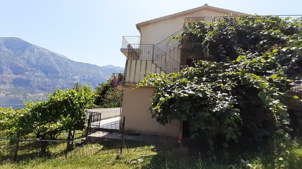 Apartman Tesovic Kotor Exterior photo